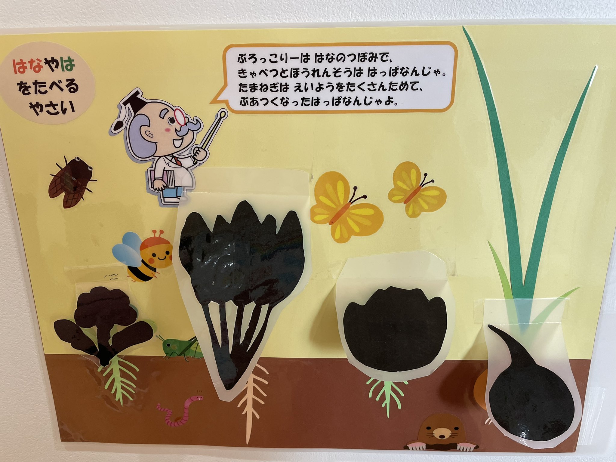 アートチャイルドケア株式会社 野菜シルエットクイズ 千葉県にあるアートチャイルドケア南流山保育園 調理室の前には 栄養士の先生が作成した食育のクイズがたくさん 新作は 野菜のシルエットクイズや 茎や葉っぱから果実を当てるゲームです