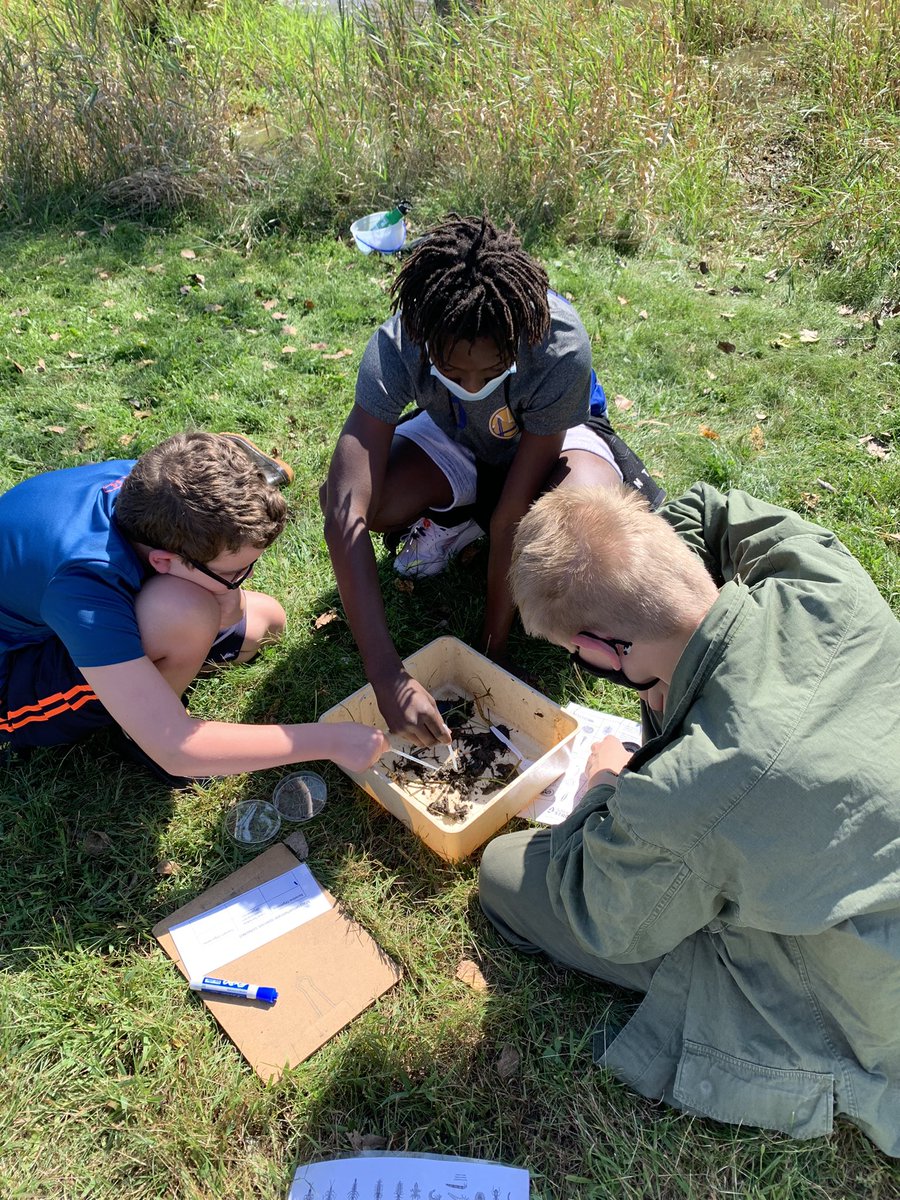 mrsamol's tweet photo. What a wonderful day to have class outside. Students at Winona Middle School doing some real-world application and research! #winhawkspride #OlStarStatus https://t.co/FoM2MszDgz