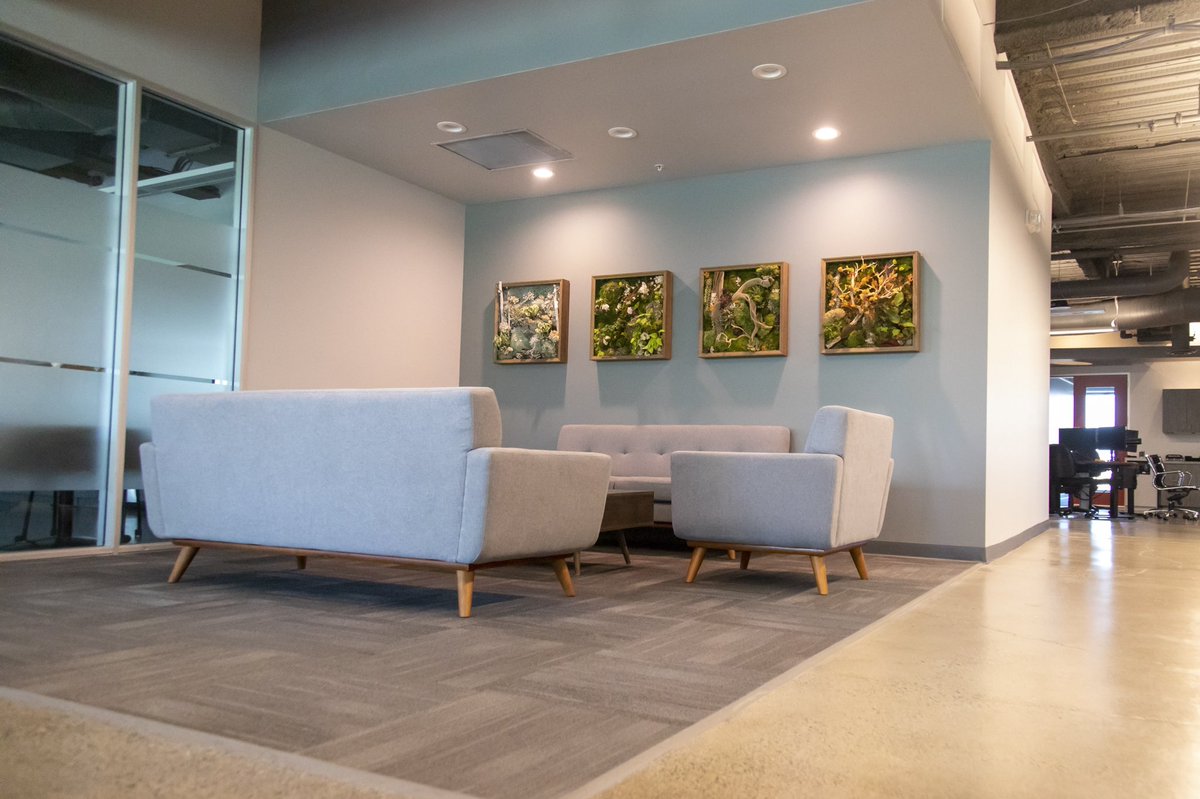 exoticplantsltd's tweet photo. Check out some of the moss art going up at @ClearCapital in Roseville Ca! https://t.co/3pWTLqJ8Bl