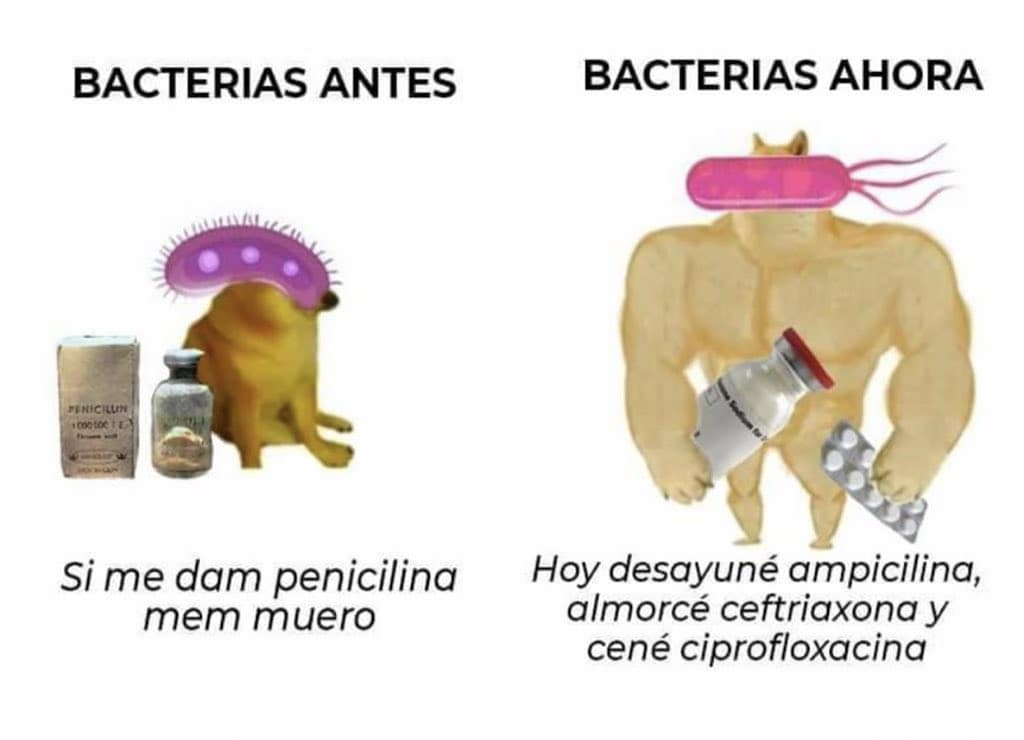 MedicinaJoven's tweet photo. El fin está cerca 🔥🔥 https://t.co/igSdgTbwoL