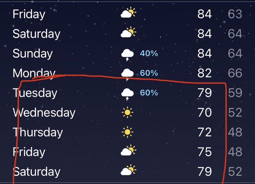 shroomy 🍄 tweet media