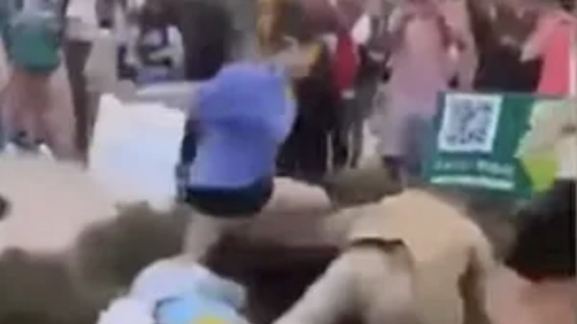 Occupy Democrats tweet media