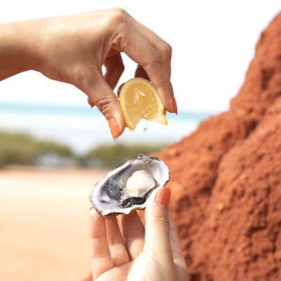 Sydney Cove Oyster Bar tweet media