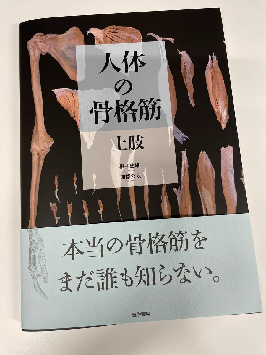 伊豆の美術解剖学者 on X: 