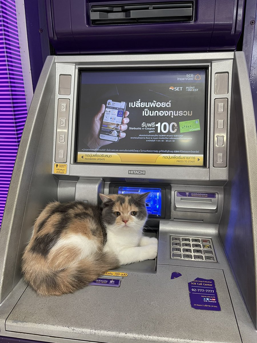 รับบทสาวแบงค์