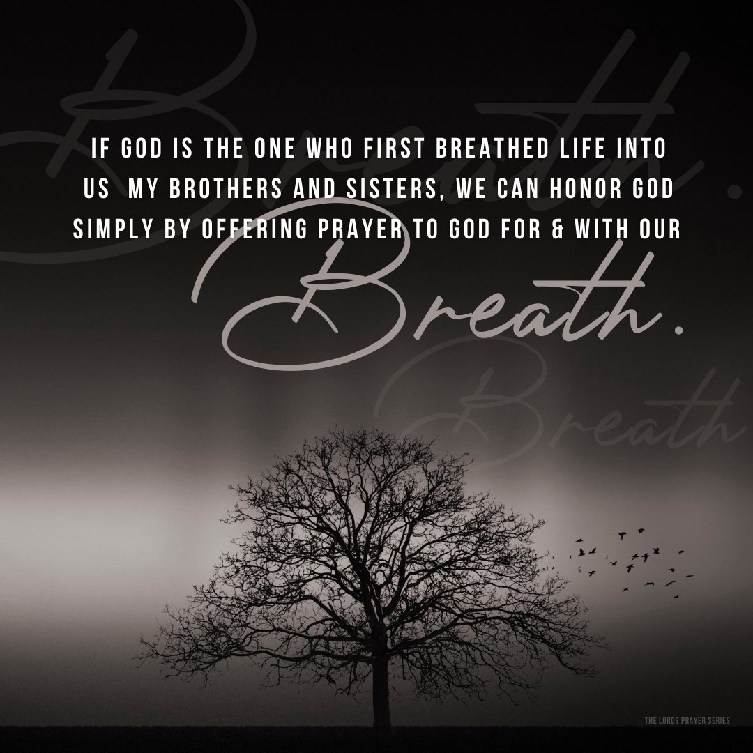 rayf2f's tweet image. 