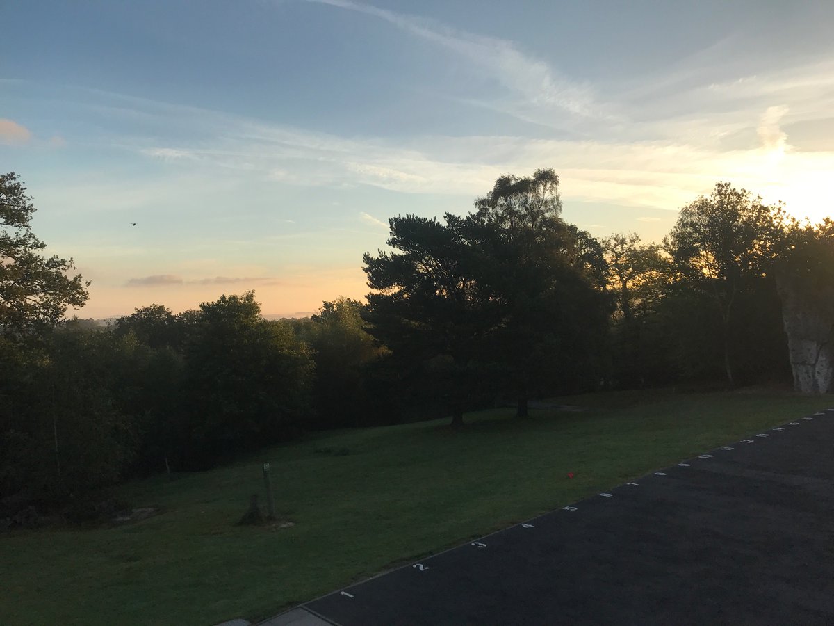 Bosham Primary School tweet media