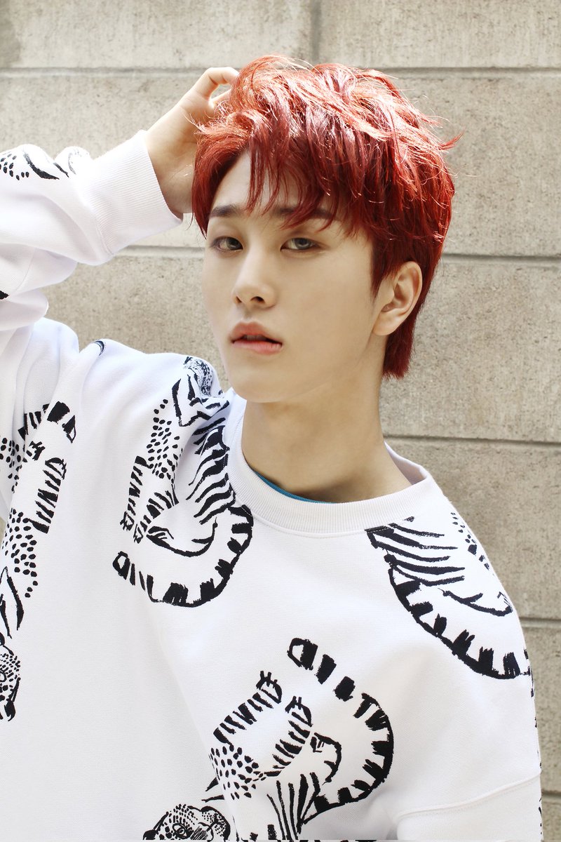 jflo_newkidd's tweet photo. [뉴키드 #진권] 오늘..아시죠?😍

#Newkidd #뉴키드 #Jinkwon #진권 https://t.co/8suY0qZ7Qn