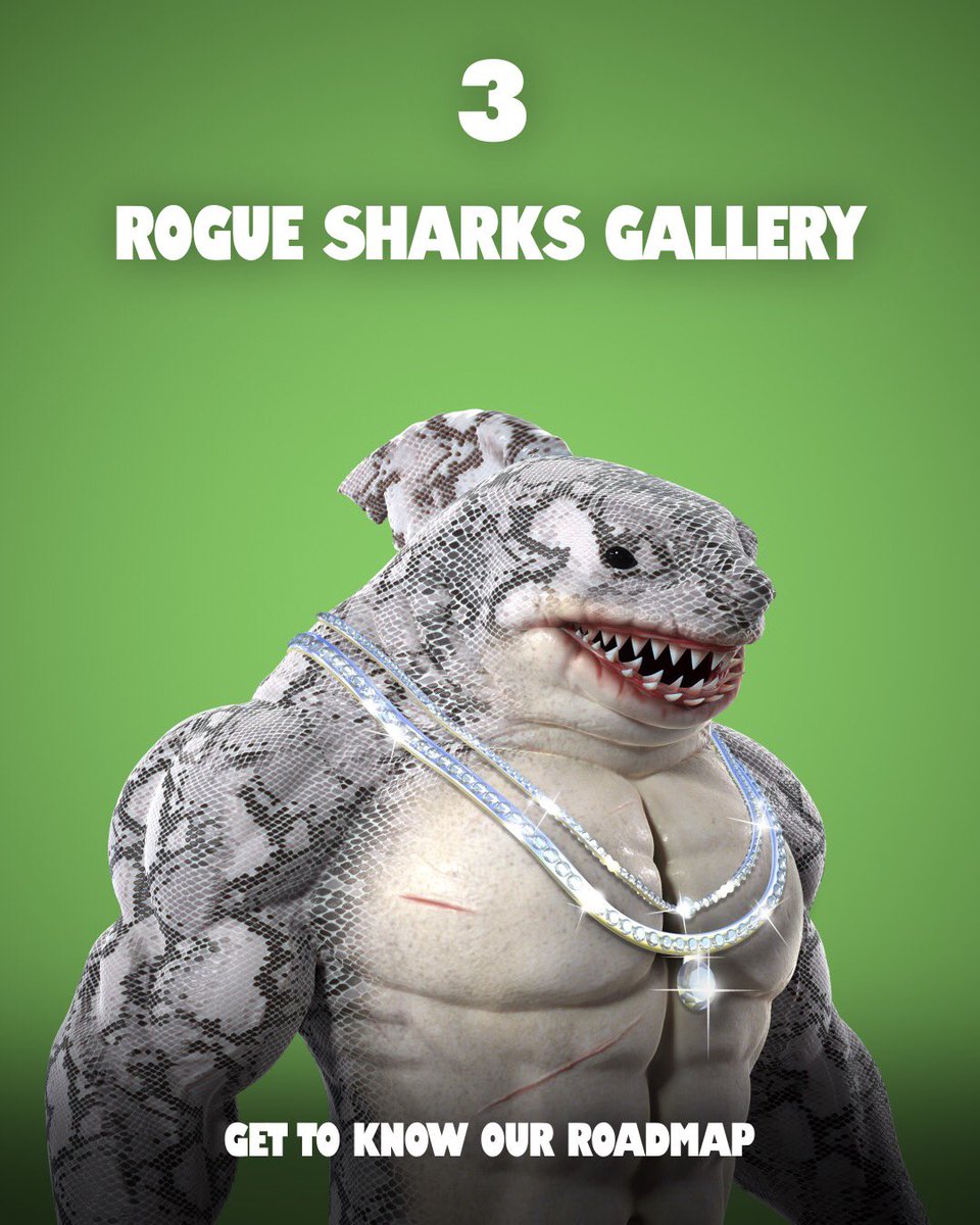 Stop #3 on our Roadmap is a Rogue Sharks Gallery where you can view all of the coalition members ranked by rarity and traits. 

Psst...the gallery might even include some AR functionality 👀😎