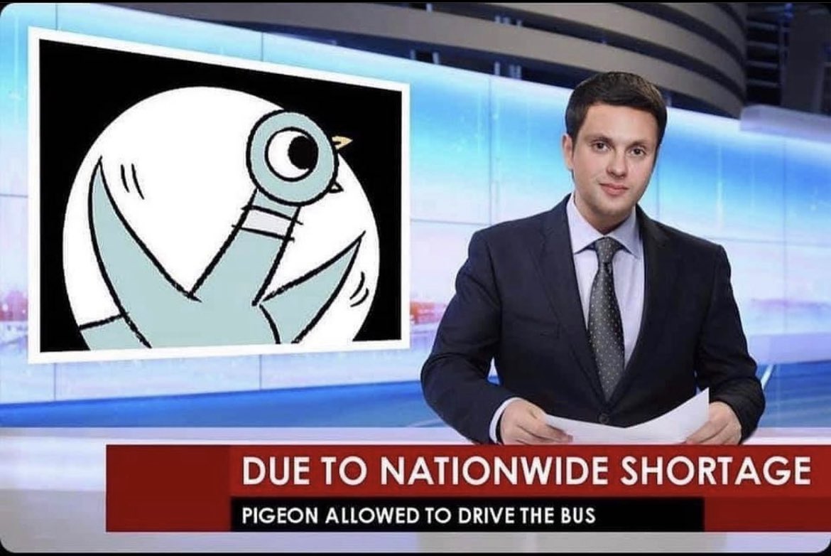 But really though?? 🤣 Can the pigeon also be a substitute teacher?? 🐦 <a href="/mowilliams/">Mo Williams</a>