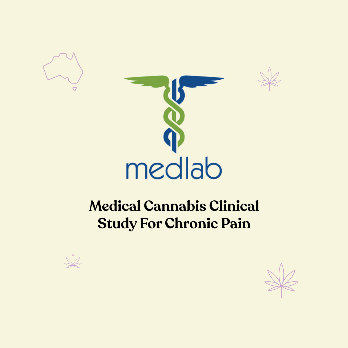 #MedicinalCannabis & cancer or non-cancer related #ChronicPain study now recruiting. We spoke with @medlabclinical's clinical research coordinator about the trial and how patients can get involved. Learn more here: honahlee.com.au/articles/canna…