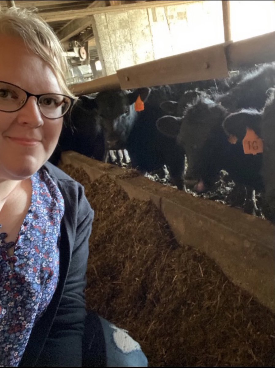 CanCattleYouth's tweet photo. The #CdnBeef sector is a strong contributor to a healthy, resilient economy. With the right risk management programs, young producers can continue its success for years to come! #Vote4Ag and learn more about @CdnCattlemen’s #Elxn44 priorities: https://t.co/px32q5SemI https://t.co/BDu1HvYbQw