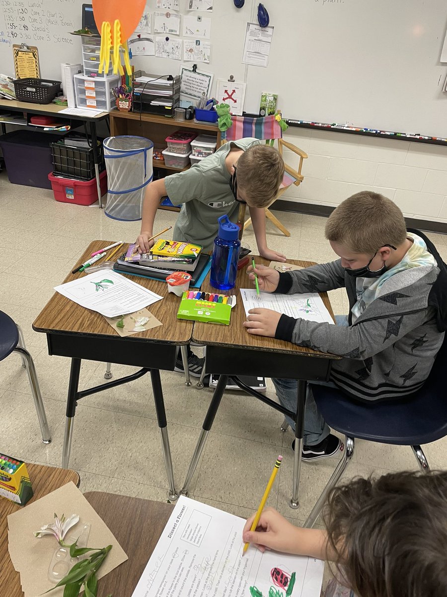 l_handlon's tweet photo. Core 1 science-Dissecting a flower. Who knew it had eggs:) Scientists in the making.@TME_tigers #TMGenius https://t.co/eBbzHnpZdC