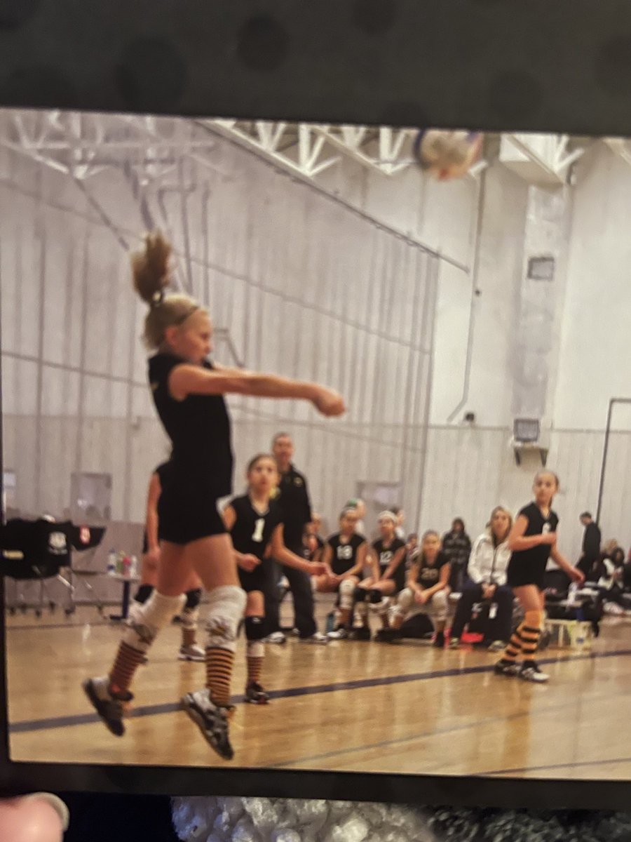 Shelly Dowler tweet media