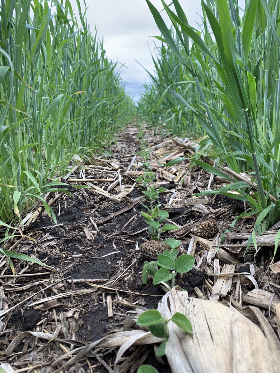 Vittetoe761's tweet photo. @Cornfrmr #EveryAcre https://t.co/WVlHrWB1r1