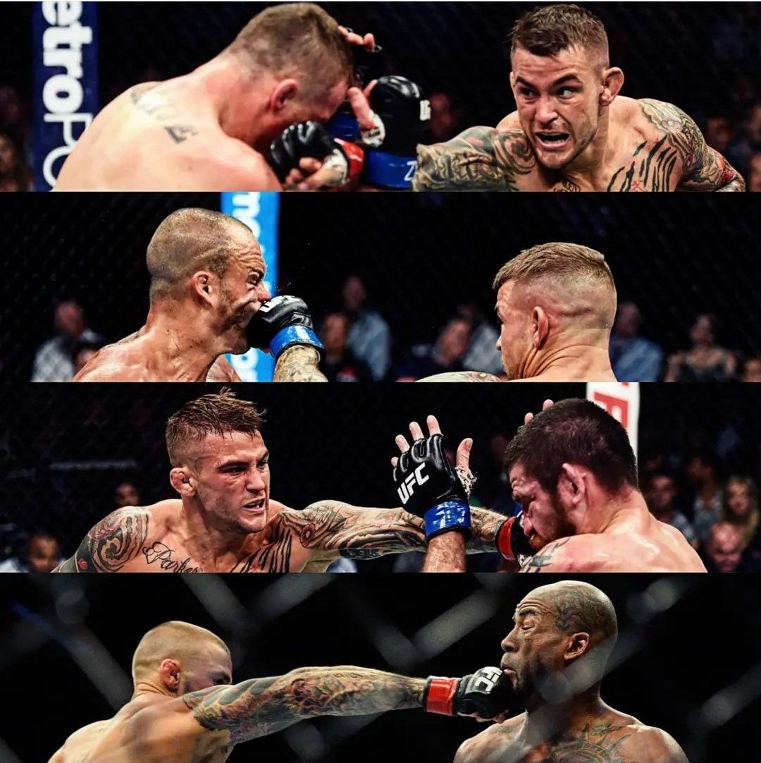 DustinPoirier's tweet photo. https://t.co/DuJw6VTlbP