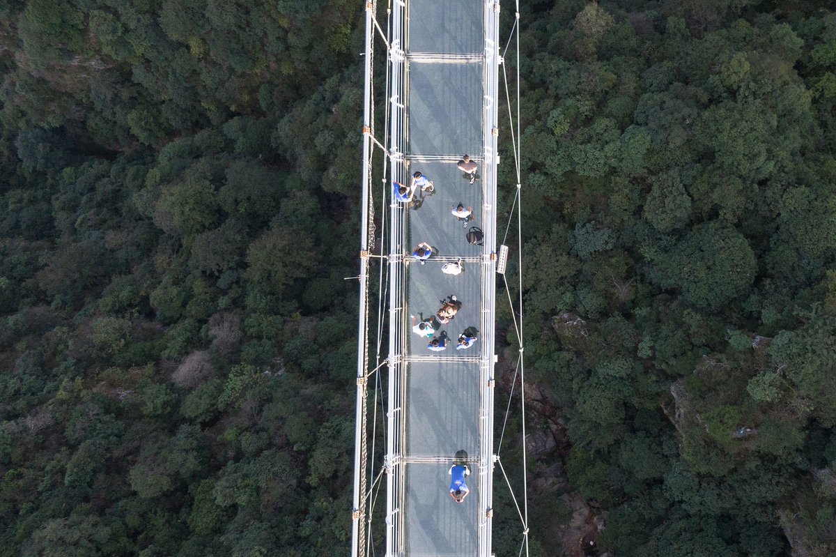CGTNOfficial's tweet image. Take a look at this stunning 316-meter glass bridge in the mountains near Ganzhou City, east China's Jiangxi Province.