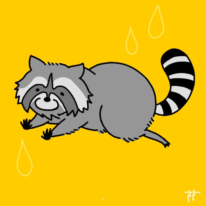 アライグマのtwitterイラスト検索結果 アライグマのtwitterイラスト検索結果
