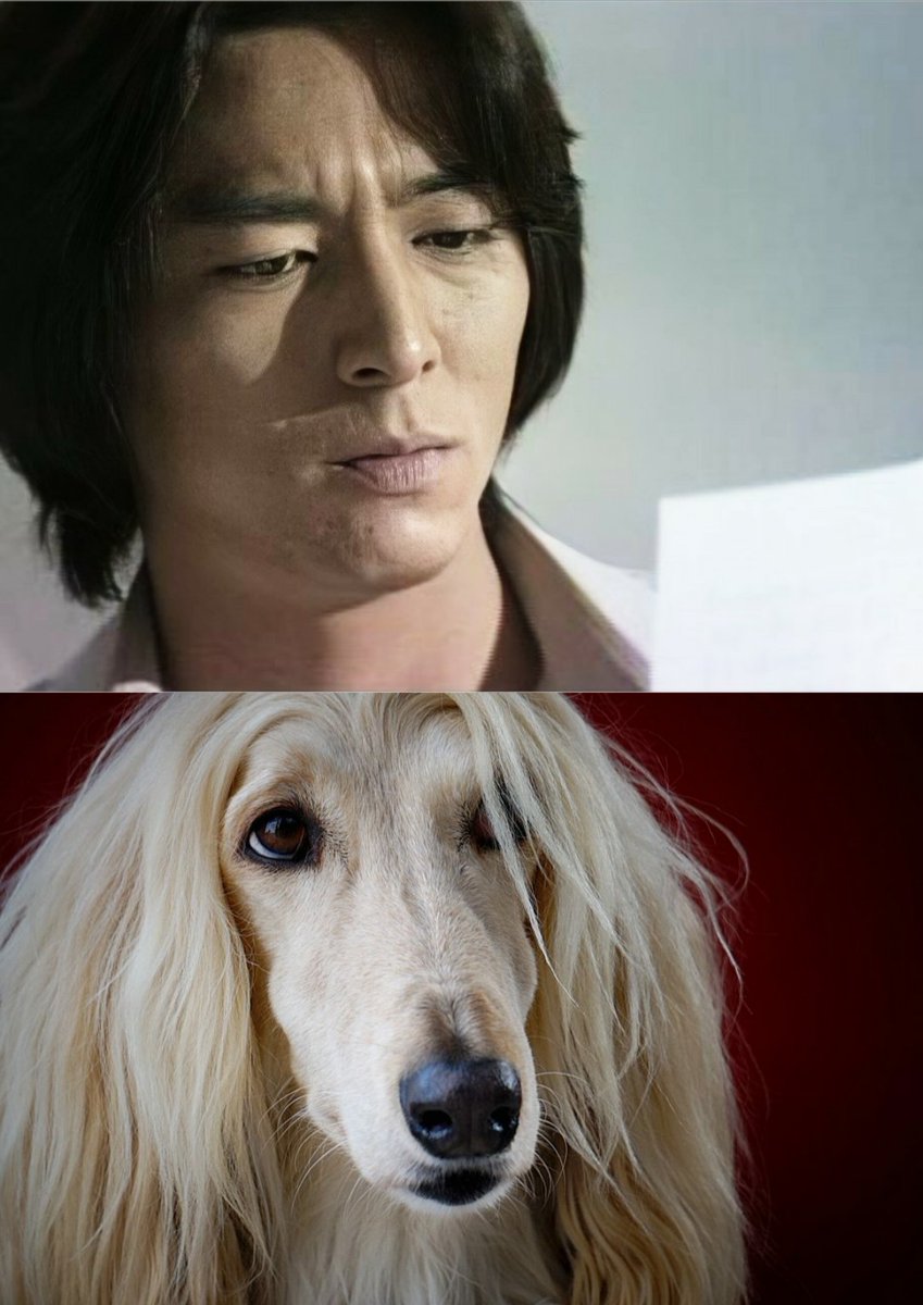 高評価 英国製 大型犬アフガンハウンド ストーン製 庭 イングリッシュガーデン 置物