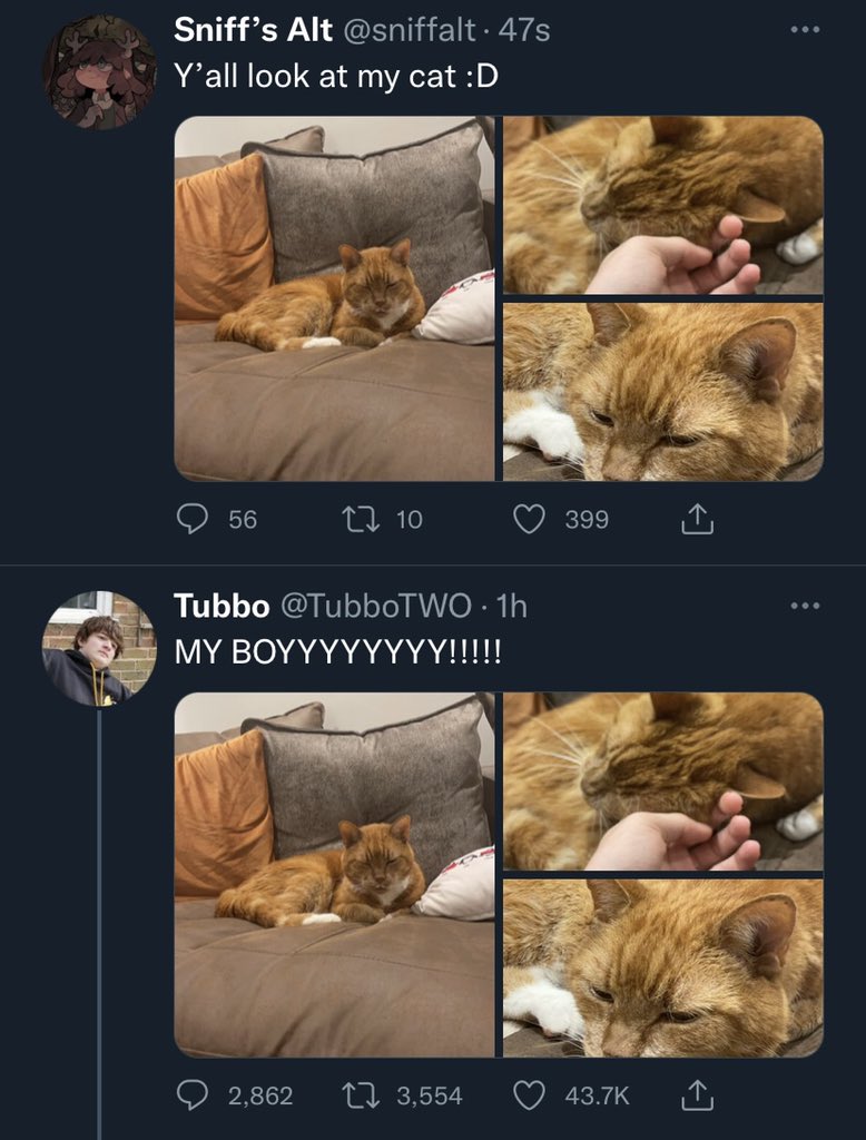<a href="/sniffalt/">Sniff’s Alt</a> Omg sniff I love your cat!