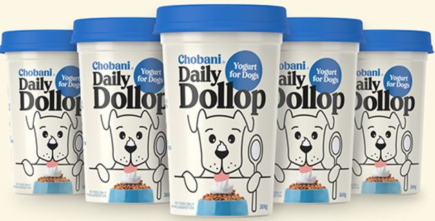 PKNpackagingmag's tweet image. @Davidson_Brand has created a brand identify for new @Chobani’s #DailyDollopDogYogurt, which includes fun, dog related puns on the foil lids, produced by #JetTechnologies buff.ly/3nChEMF @woolworths