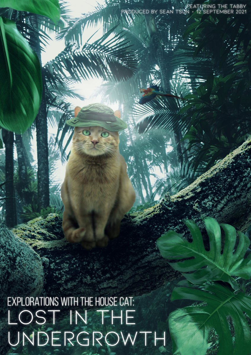 Suprise raffle! I still have to giveaway this bad boy in the other running events (check my pinned) but feeling generous and will giveaway a copy just:
1. retweet, like and follow
2. tag 3 friends!

Lezgoooo #NFT #giveaway