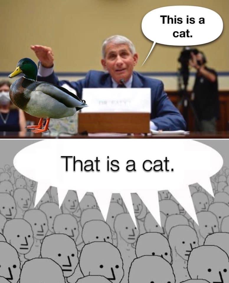 E_dhpSlVgAsEgX5?format=jpg&name=medium