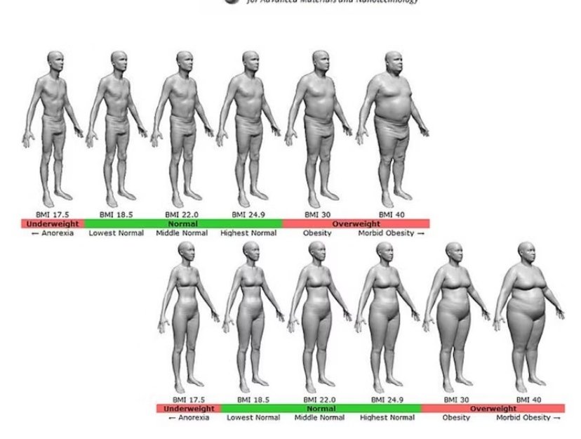 BMI-passi tulisi ottaa käyttöön, jotta vain alle 25 BMI-luvulla voi käydä p...