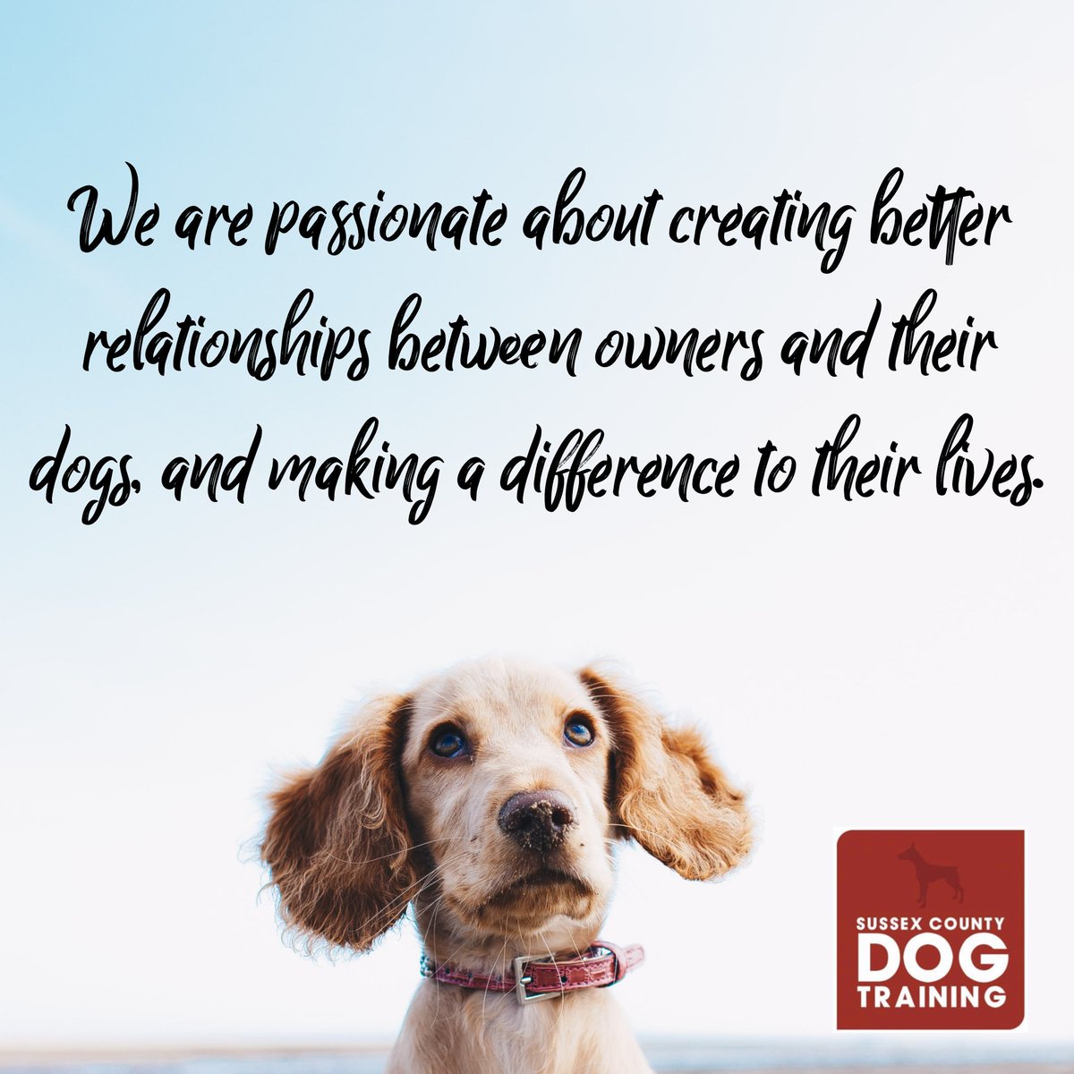 SCDogTraining's tweet photo. https://t.co/rqVMz9L73G