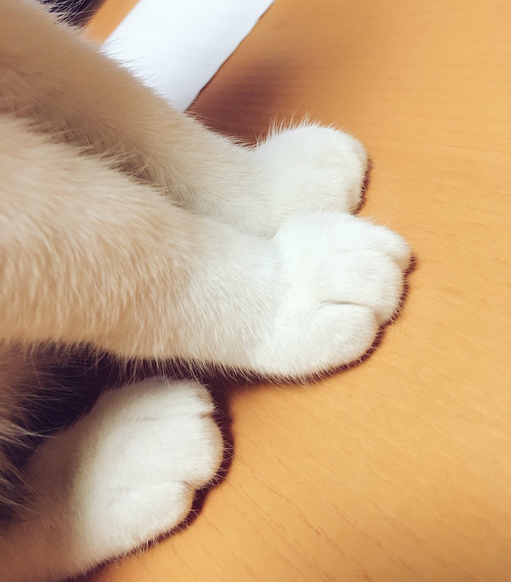 クリームパン Sok Pa Twitter クリームパン Sok Pa Twitter