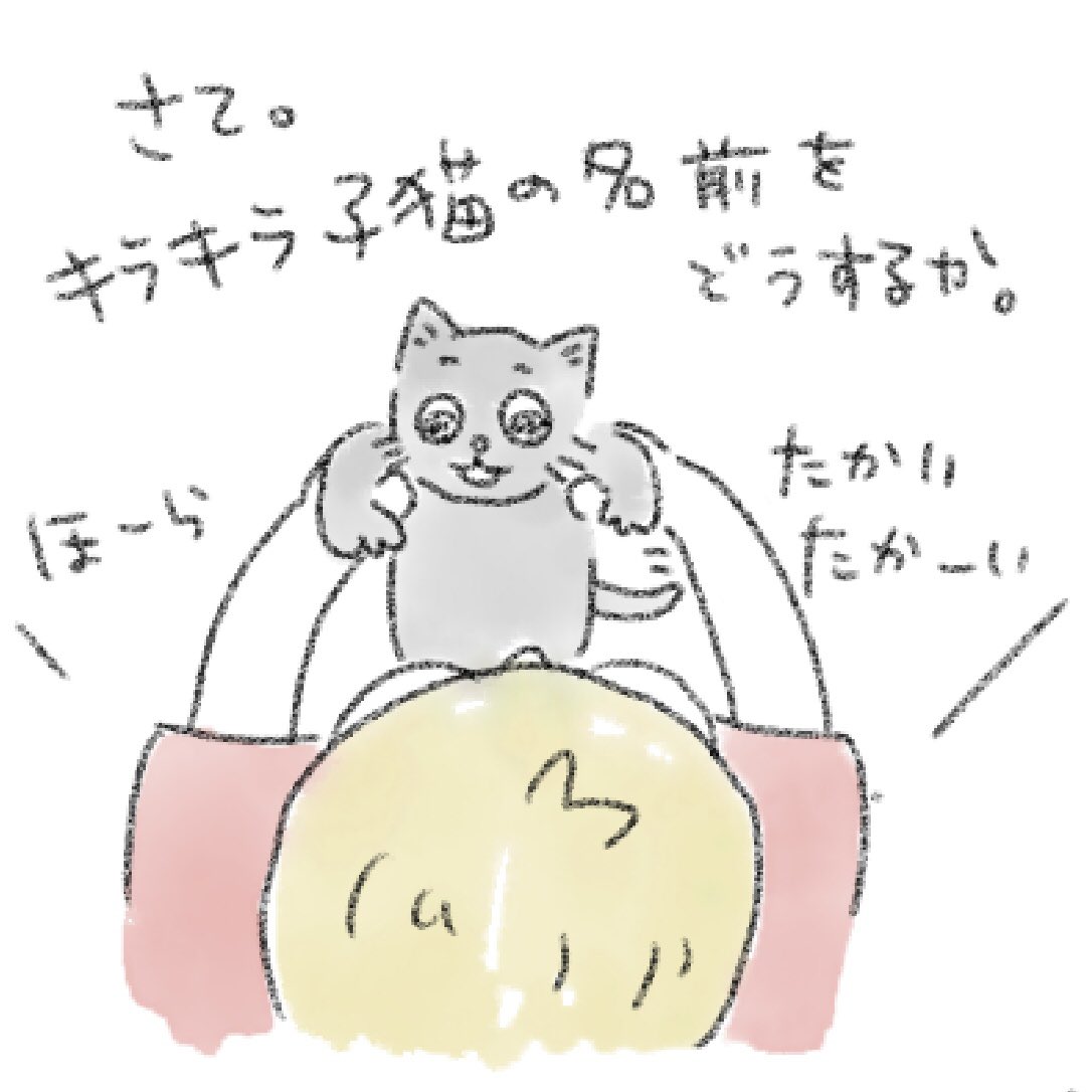 umineko_syouten's tweet photo. 『も吉のきもち』その20

よっしゃ！
も吉の弟に名前を考えよう。

これまでのお話はまとめからどうぞ。

#も吉のきもち
#多頭編 #多頭飼い #落書き 
#4コマ漫画 #貓 https://t.co/jP2qEFaK6S