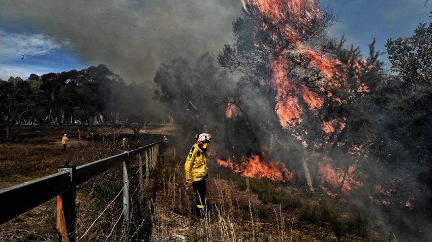 SMH Photography tweet media