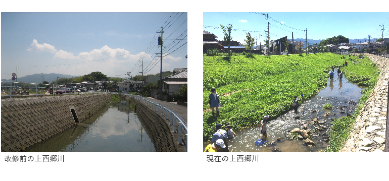 miocoffeecoffee's tweet photo. I just learned a great work done by Kyushu University for reverting a river bed and banks to more natural state --- a state less flood prone and biodiversity friendly. They are backing intuition with science. 
Left: before    Right: after 
https://t.co/ZJ34STz1Qm https://t.co/4MXx8jpZ2S
