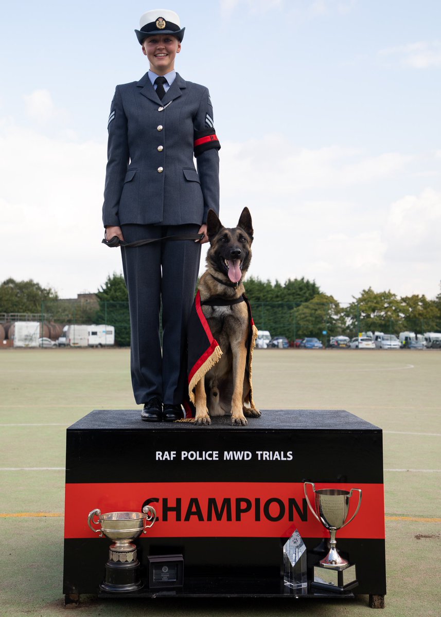 #feelgoodfriday#rafpolicedogtrials2021 – We are thrilled to announce the 2021 RAF Police Military Working Dog Trials Champion is  Cpl Webb and Patrol Dog DJ from <a href="/RAFNortholt/">RAF Northolt</a> 
Please join me in congratulating them both 🥇🏆  🥳 🎉 👏
#RAFPolice #alwaysoperating
