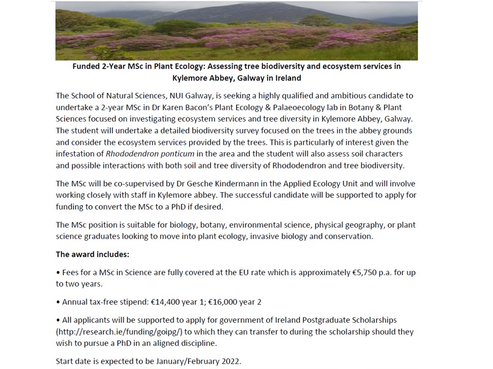 We have an open position for a funded Masters by Research in #PlantEcology Work with Kylemore Abbey to assess #TreeDiversity and consider the impacts of #Invasive #Rhododendron. Deadline 15th October 2021. More info here:…ecologypalaeoecologylab.wordpress.com/come-join-us/ or drop me an email. #ERC #Botany