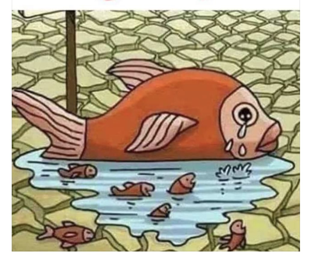 FaheemYounus's tweet photo. Mothers https://t.co/5HLUcZxykr