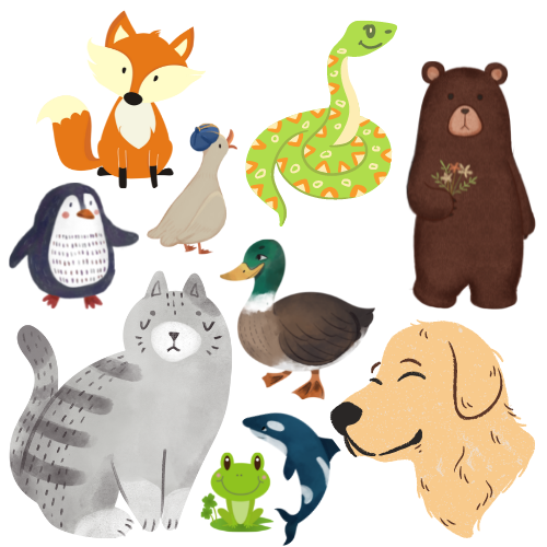 Rattle Snakes tweet media