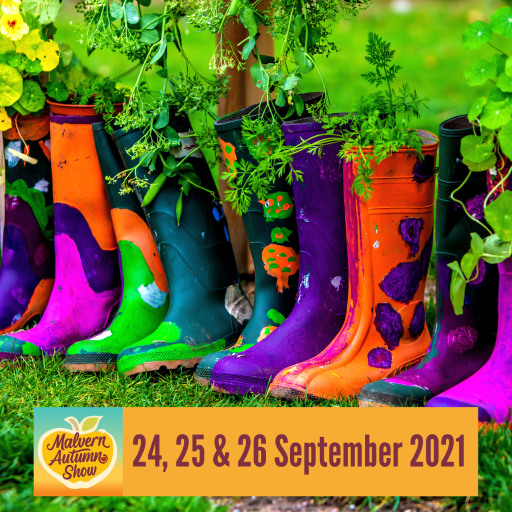 Malvern Autumn Show 24 - 26 September 2021
A Festival of Gardening, Food &amp; Drink, Artisan Produce &amp; Nostalgia.
Book your tickets now malvernautumn.co.uk/buy-tickets/
<a href="/MalvernShows/">RHS Malvern Spring & Autumn Shows</a> #malvernautumnshow #gardening