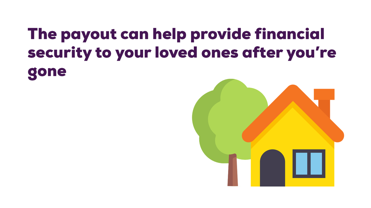 Protect Line Ltd - Life Insurance tweet media