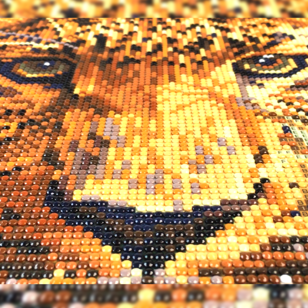 Aldi diamond painting gekocht voor €3.99