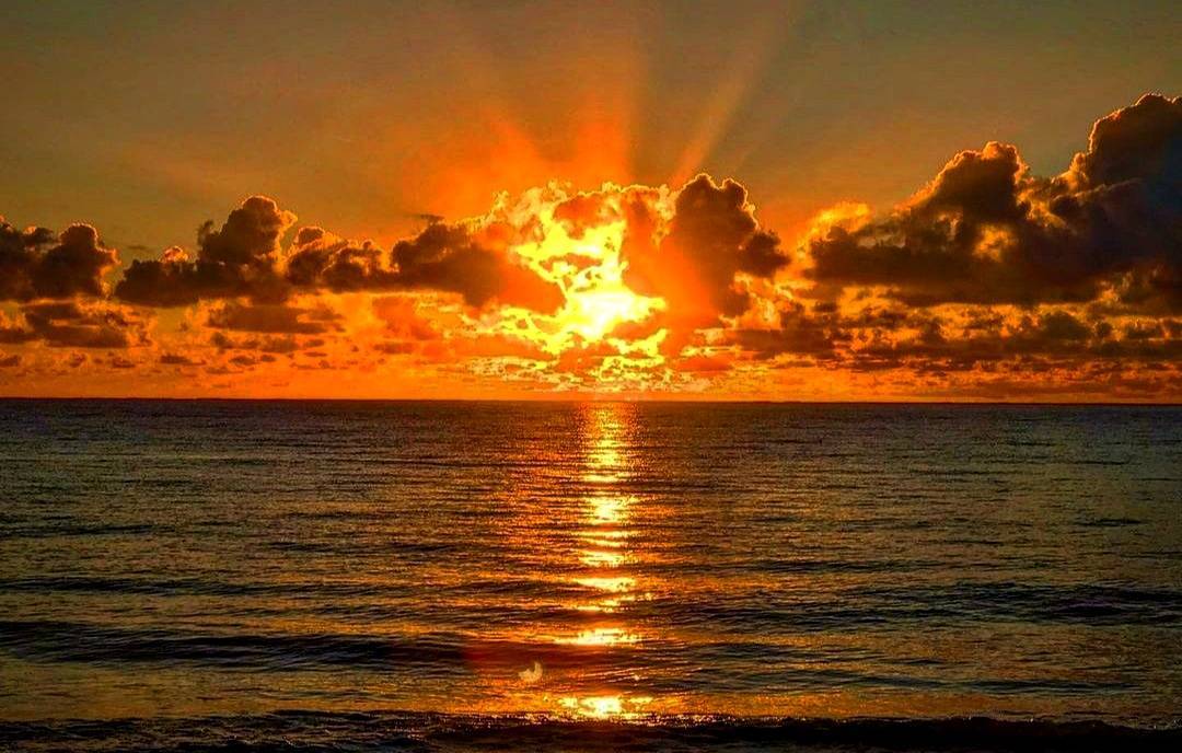 FPphayam's tweet photo. 🇬🇧 Stunning sunset in Buffalo Bay
🇹🇭 ภาพพระอาทิตย์ตกดิน
#flowerpowerphayam #guesthousekohphayam #ฟลาวเวอร์พาวเวอร์วิลเลจ #aowkhaokwai #อ่าวเขาควาย #kophayam #เกาะพยาม #ranong #ระนอง #thailand #ประเทศไทย #ไทยแลนด์ #muangranong #thailand #heven #thaisland #andamanisland https://t.co/n6QOyHGW33