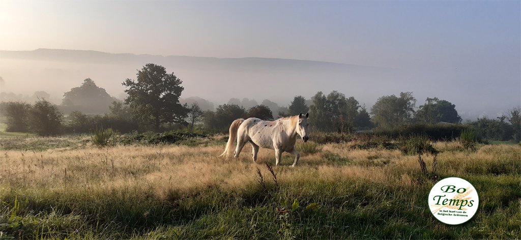 Het is weer zo'n morgen!! Heerlijk. En een dag researchen met <a href="/Joedemadio/">Joey van Meesen</a> in Ligneuville