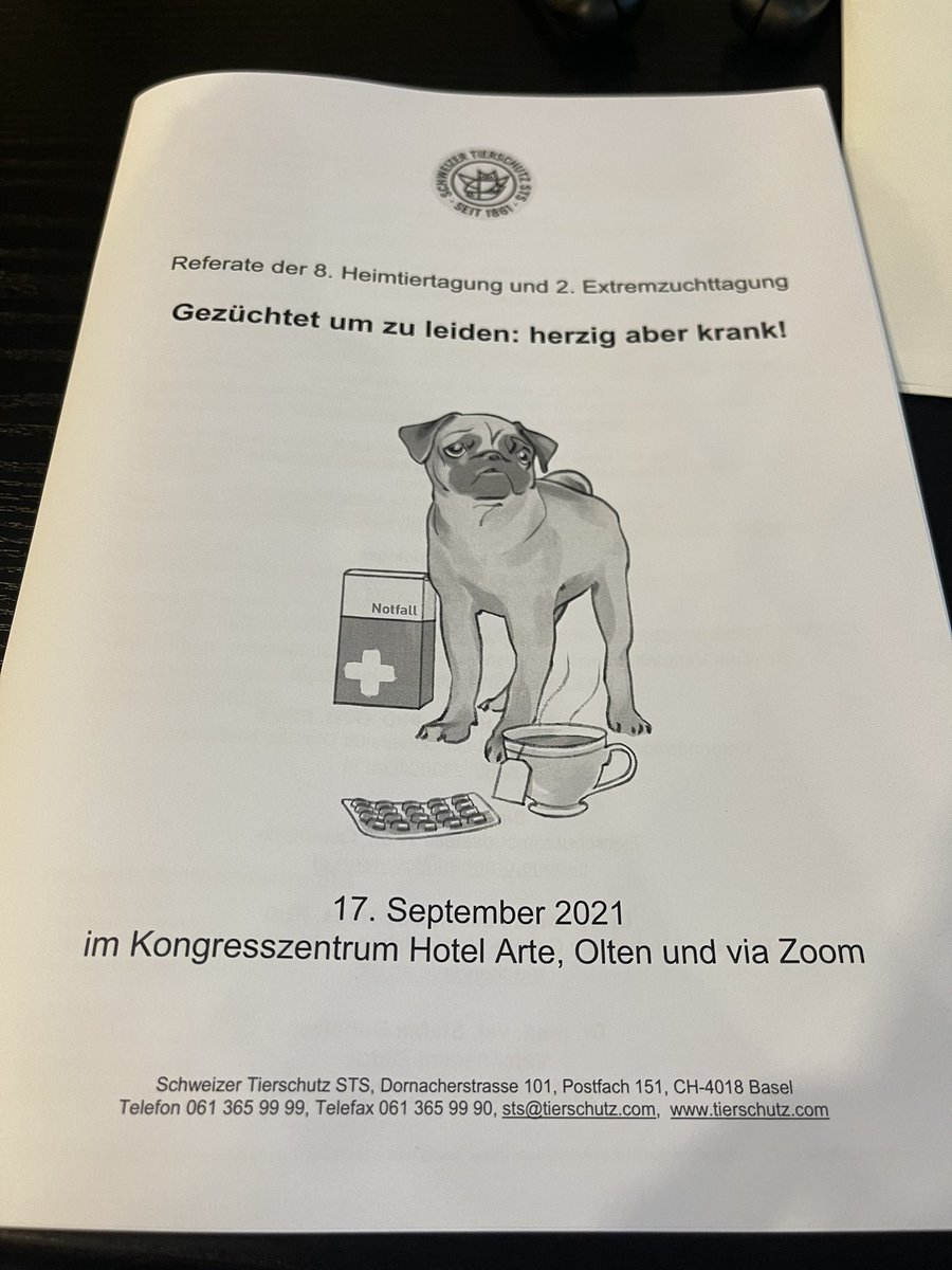 An in person conference…am I hallucinating? Other than needing to rapidly upskill my German I’m looking forward to a day of important discussions on extreme breeding and approaches to tackling it across Europe, including sharing our UK situation #brachyboom #breedtobreathe