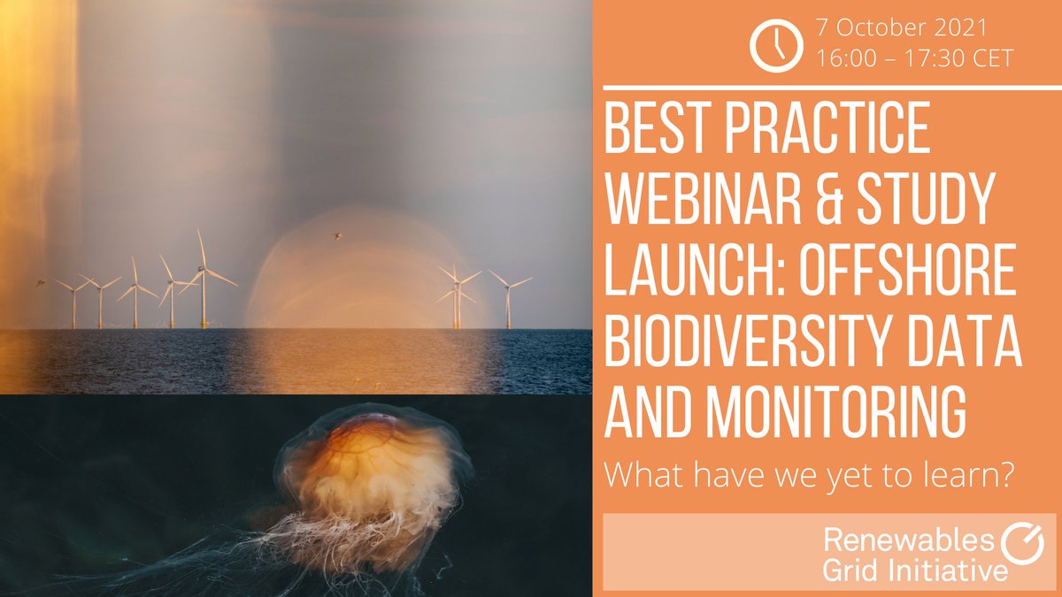 RenewablesGrid's tweet photo. Eager to know how to improve 🧐 monitoring standards &amp; 📊 data sharing for 🐬 marine #biodiversity in the 🌬️ #offshorewind sector? 

📢 Join our #BestPracticeWebinar &amp; #StudyLaunch on 7 October and find out more!

✅Registration open!
More info 👉🏽 https://t.co/BTqzSEbtlA https://t.co/g1HQrzsIdE