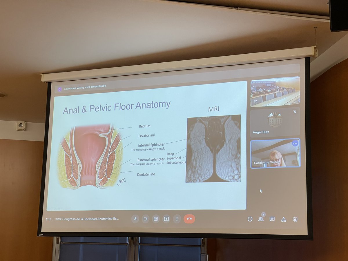 Pasión por la Anatomía tweet media