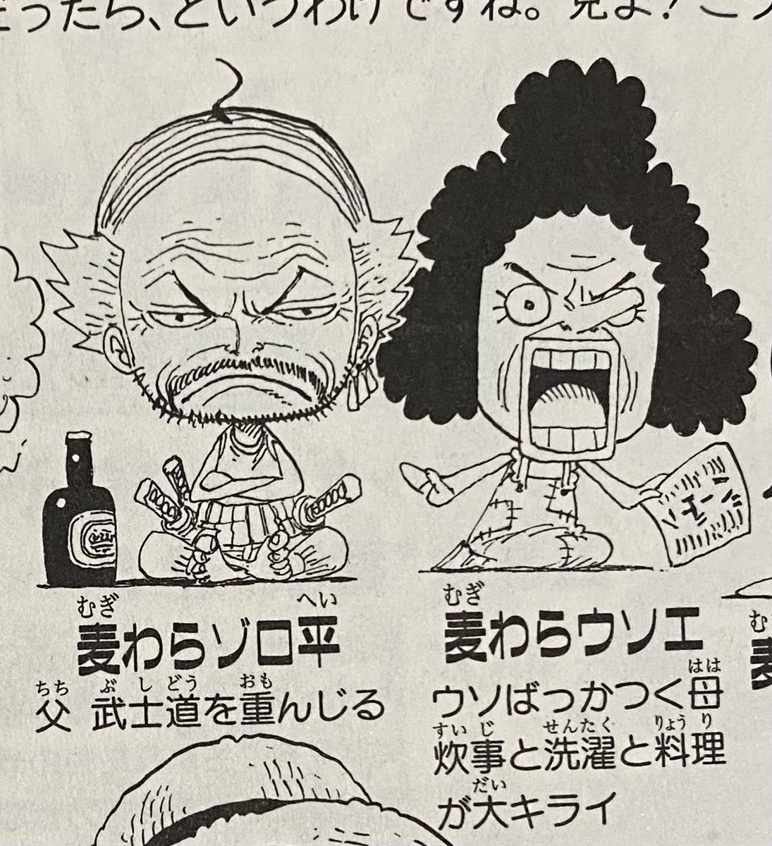 Twitter 上的 ねこまっちゃ まさかの公式 麦わら劇場ファミリータイム ゾロウソ夫婦 ゾロウソ T Co Kedweffk8d Twitter