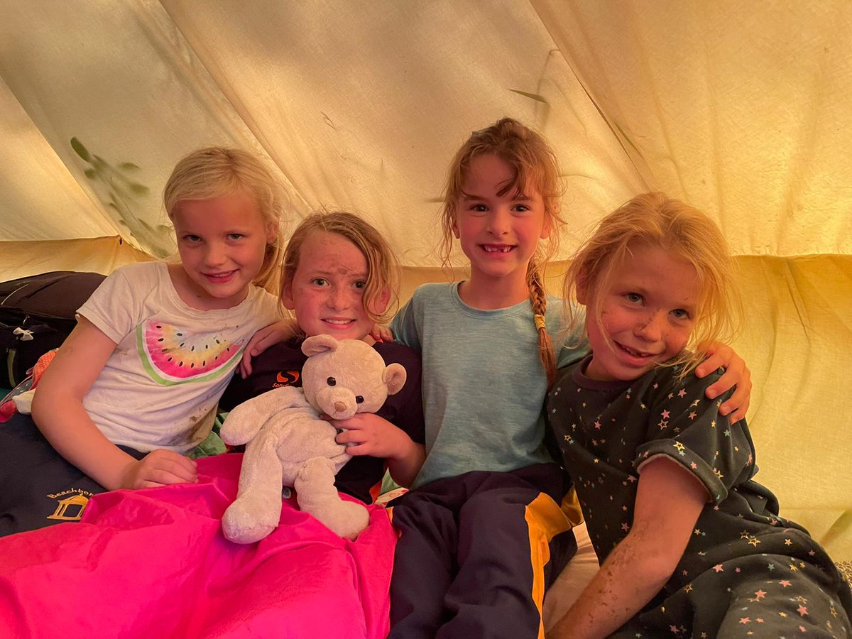 Beachborough Trips tweet media