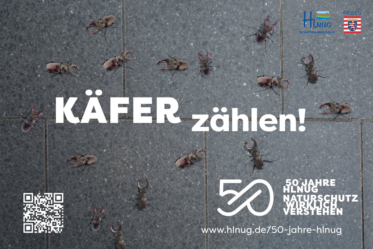 HLNUG_Hessen's tweet photo. Kennt ihr schon unsere Mitmachaktionen für den #Naturschutz? Ihr könnt uns online melden, wenn ihr Tier- oder Pflanzenarten gesichtet habt. 👀 Damit helft ihr gefährdeten hessischen Arten wie dem Hirschkäfer oder Feuersalamander. 🪲 Weitere Infos: 👉https://t.co/kghYVv7TKg. https://t.co/qWnhN8BRmX