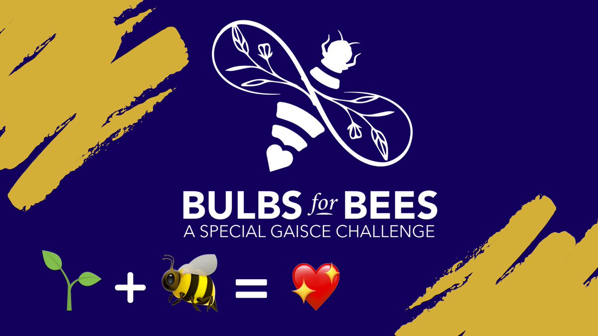 From Monday (Sept 20th) our four offices are fully open to the public again, while observing mask wearing, sanitising & social distancing measures. 
To celebrate we will be planting #BulbsForBees in each district next week https://t.co/K8opa4MtXZ