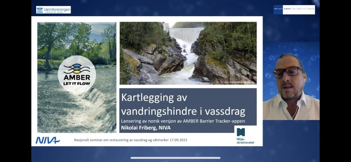 NIVAforskning's tweet image. Vandringshindre i vassdrag hindrer ikke bare fisk, de kan påvirke kontinuiteten i hele økosystemer🐟🛑 

I dag lanseres den norske versjonen av appen @AMBERtools - den gjør at vi sammen kan bidra til å kartlegge hindringene og få bedre flyt i elvene! 

#letitflow